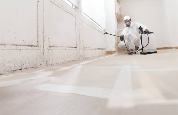24/7 Emergency Mold Remediation experts in Lawrence, NY